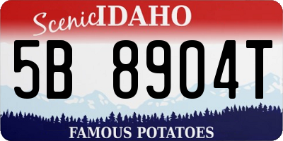 ID license plate 5B8904T