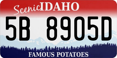 ID license plate 5B8905D