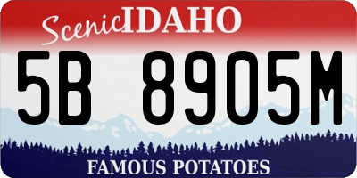 ID license plate 5B8905M