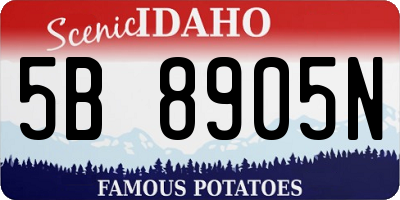ID license plate 5B8905N