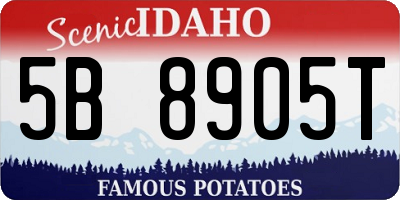 ID license plate 5B8905T
