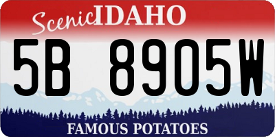 ID license plate 5B8905W