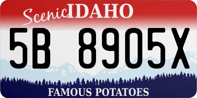 ID license plate 5B8905X