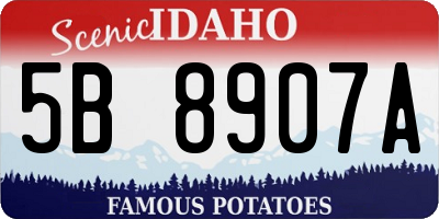 ID license plate 5B8907A