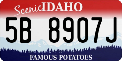 ID license plate 5B8907J