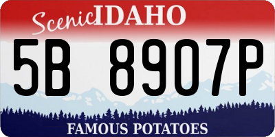 ID license plate 5B8907P