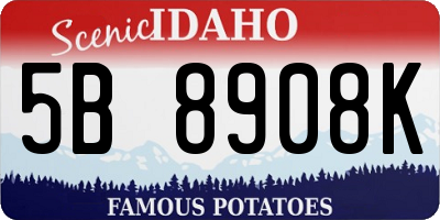 ID license plate 5B8908K