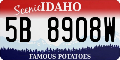 ID license plate 5B8908W
