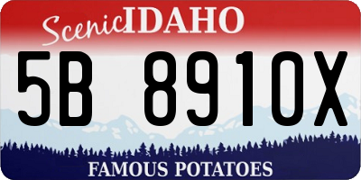 ID license plate 5B8910X