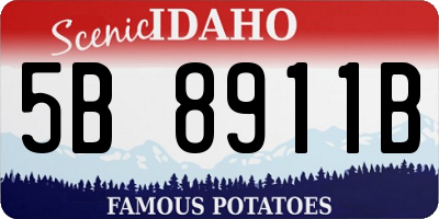 ID license plate 5B8911B