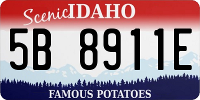 ID license plate 5B8911E