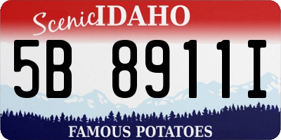 ID license plate 5B8911I