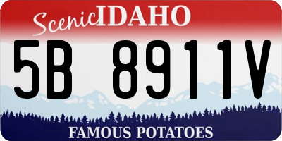 ID license plate 5B8911V