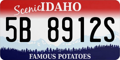 ID license plate 5B8912S