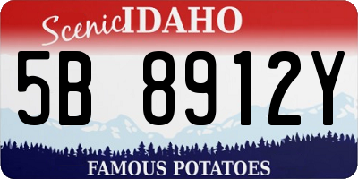 ID license plate 5B8912Y