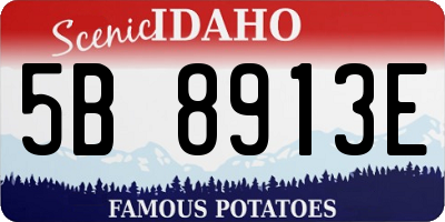 ID license plate 5B8913E