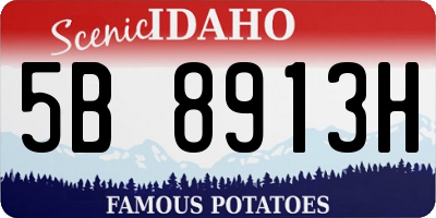 ID license plate 5B8913H