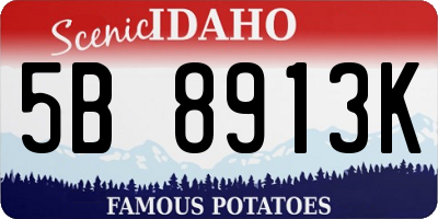 ID license plate 5B8913K