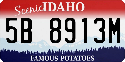 ID license plate 5B8913M