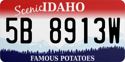 ID license plate 5B8913W