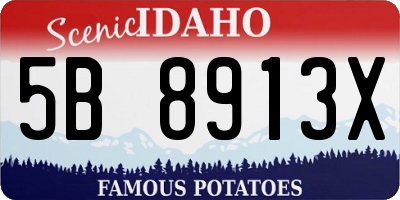 ID license plate 5B8913X