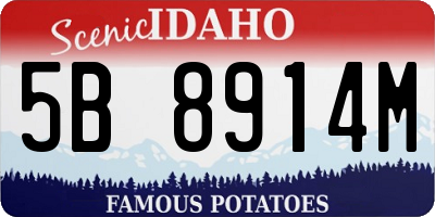 ID license plate 5B8914M