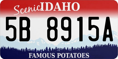 ID license plate 5B8915A