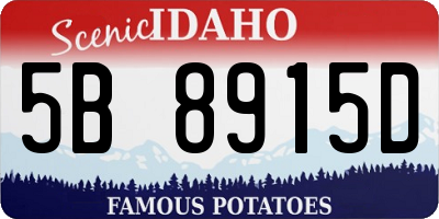 ID license plate 5B8915D