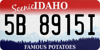 ID license plate 5B8915I