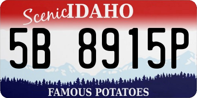 ID license plate 5B8915P