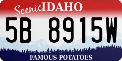 ID license plate 5B8915W