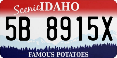 ID license plate 5B8915X