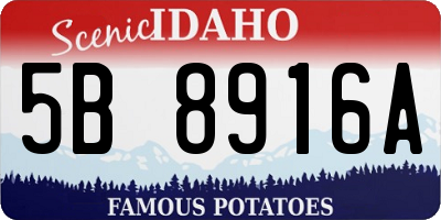 ID license plate 5B8916A