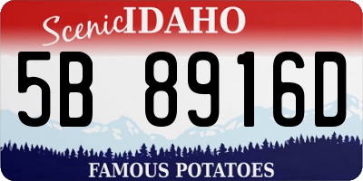ID license plate 5B8916D
