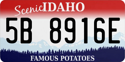 ID license plate 5B8916E
