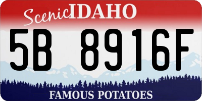 ID license plate 5B8916F