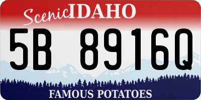 ID license plate 5B8916Q