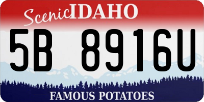 ID license plate 5B8916U