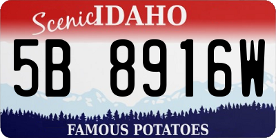 ID license plate 5B8916W