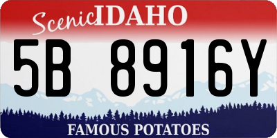 ID license plate 5B8916Y