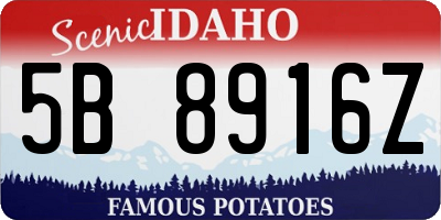 ID license plate 5B8916Z