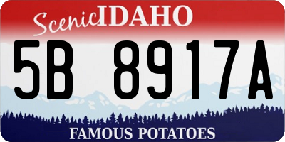 ID license plate 5B8917A