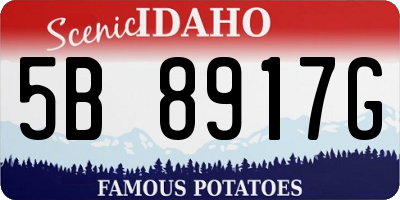 ID license plate 5B8917G