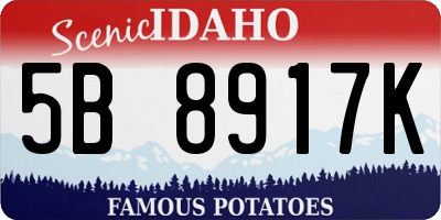ID license plate 5B8917K