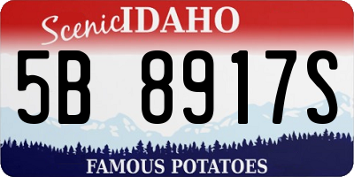 ID license plate 5B8917S