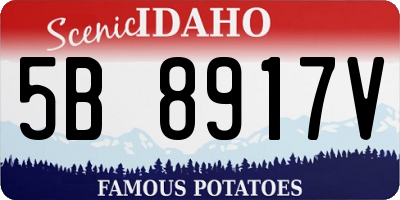 ID license plate 5B8917V