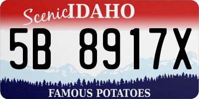 ID license plate 5B8917X