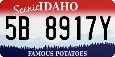 ID license plate 5B8917Y