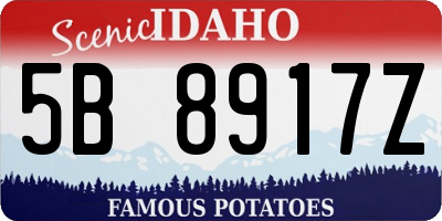 ID license plate 5B8917Z