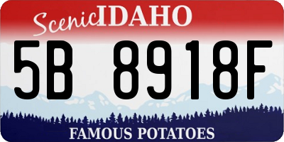 ID license plate 5B8918F